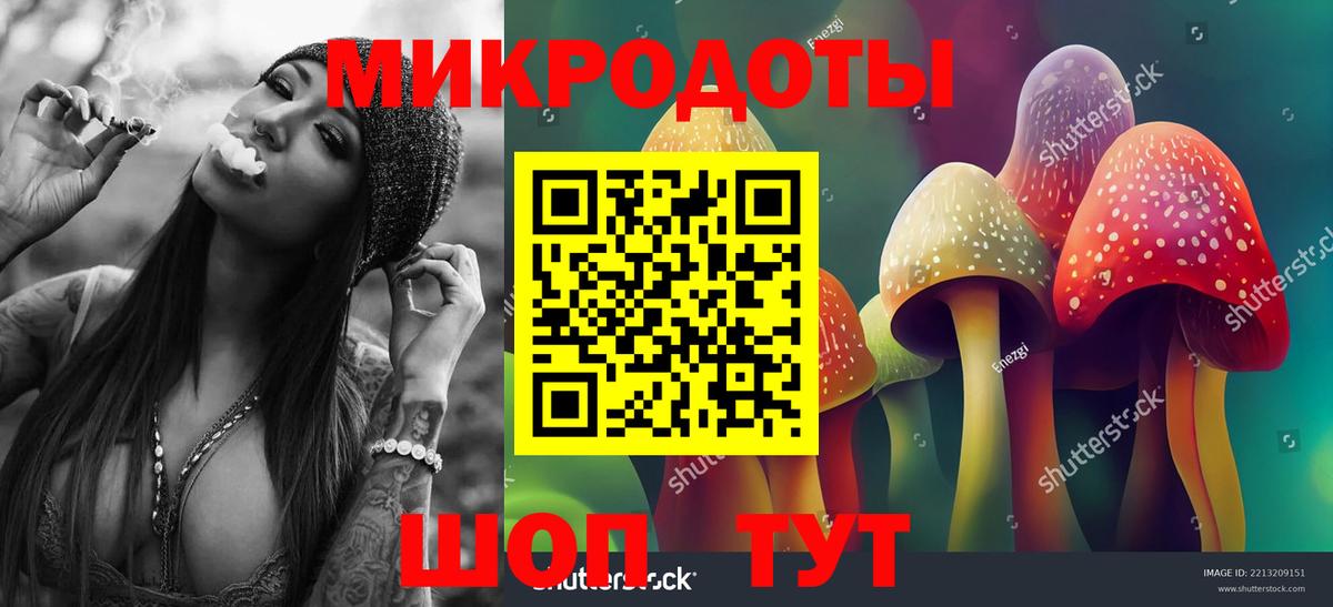 Краснознаменск  Галлюциногенные грибы GOLDEN TEACHER  Вход с VPN 